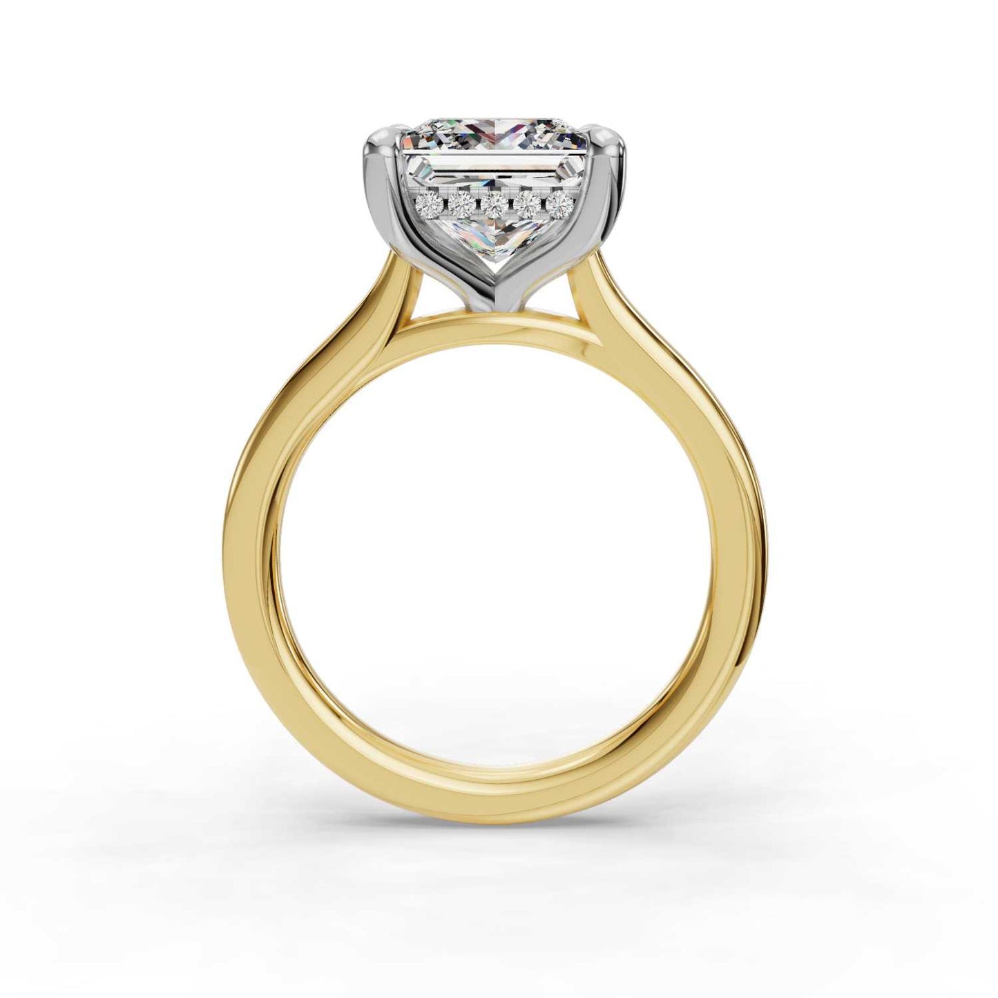 Hidden Halo Princess Engagement Ring