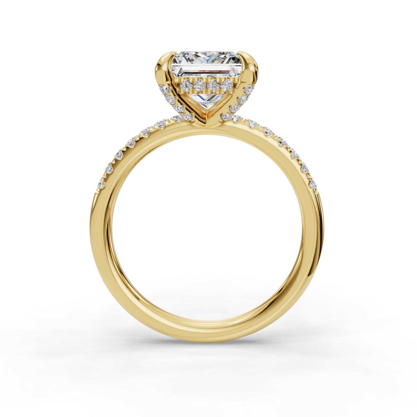 Omnia Engagement Ring-Princess